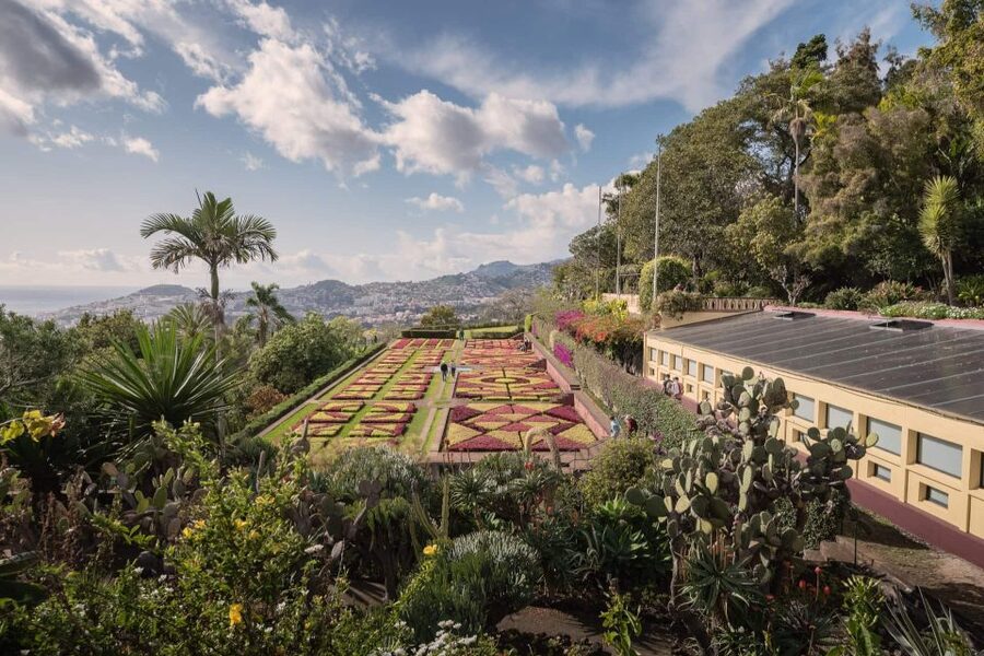 Funchal: Botanical Garden and Old Town Private Tuk-Tuk Tour - Returning through Funchal’s smaller streets