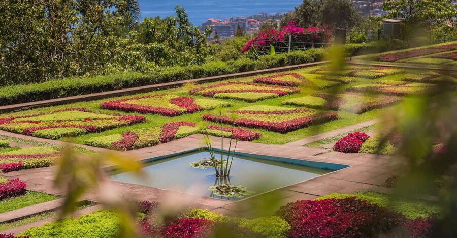 Funchal: Botanical Garden and Old Town Private Tuk-Tuk Tour - Starting in Zona Velha, Funchal’s old quarter
