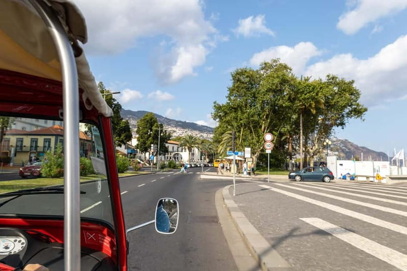 Funchal: Botanical Garden & Old Town Tour by TukTuk (1h45) - Why this short Funchal tour works