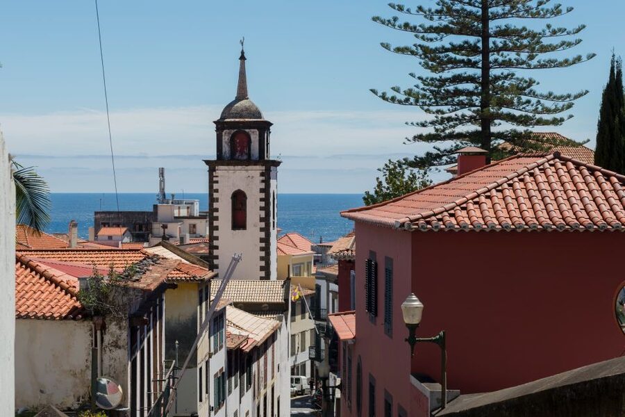 Funchal: City Highlights Tuk-Tuk Tour - The guides are a major part of the experience