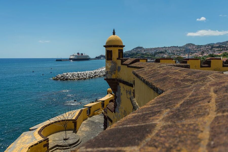 Funchal: City Highlights Tuk-Tuk Tour - The Farmers’ Market: color, food, and a practical pause
