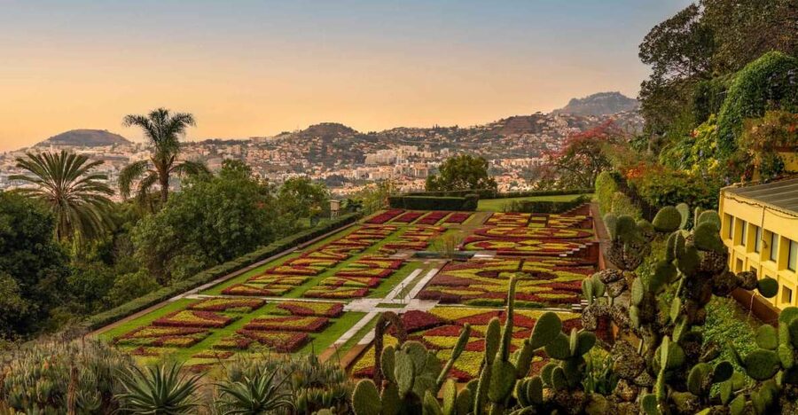 Funchal: Guided Old Town Tuk Tuk Tour and Botanical Gardens - Funchal Old Town and the city’s Portuguese beginnings