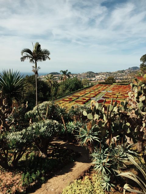 Funchal: Guided Old Town Tuk Tuk Tour and Botanical Gardens - Starting with hotel pickup in Funchal