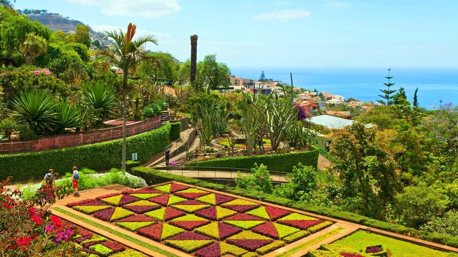 Funchal: Madeira Botanical Garden Tuk-Tuk Tour + Old Town - A gentle way up Funchal’s steep hills