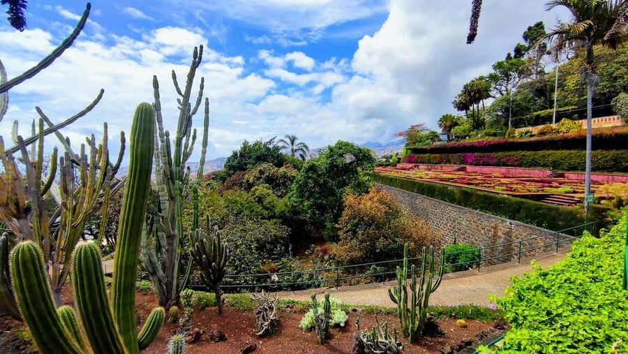 Funchal: Madeira Botanical Garden Tuk-Tuk Tour + Old Town - The natural history museum adds useful context