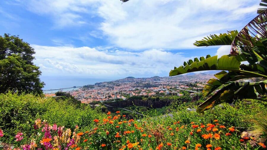 Funchal: Madeira Botanical Garden Tuk-Tuk Tour + Old Town - Timing, seasons, and the one-hour limit