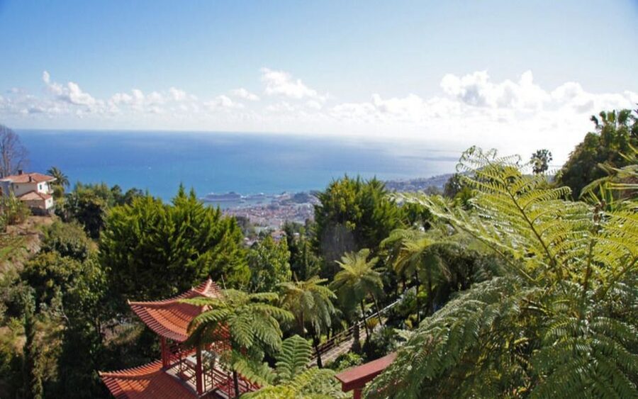 Funchal: Monte Palace Tropical Gardens Tuk Tuk Tour - A lively way to reach Monte
