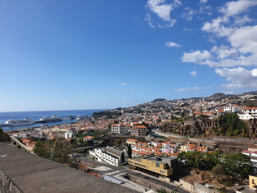 Funchal: Monte Toboggan and Old Town Tour by Tuk-Tuk - Should you book it?
