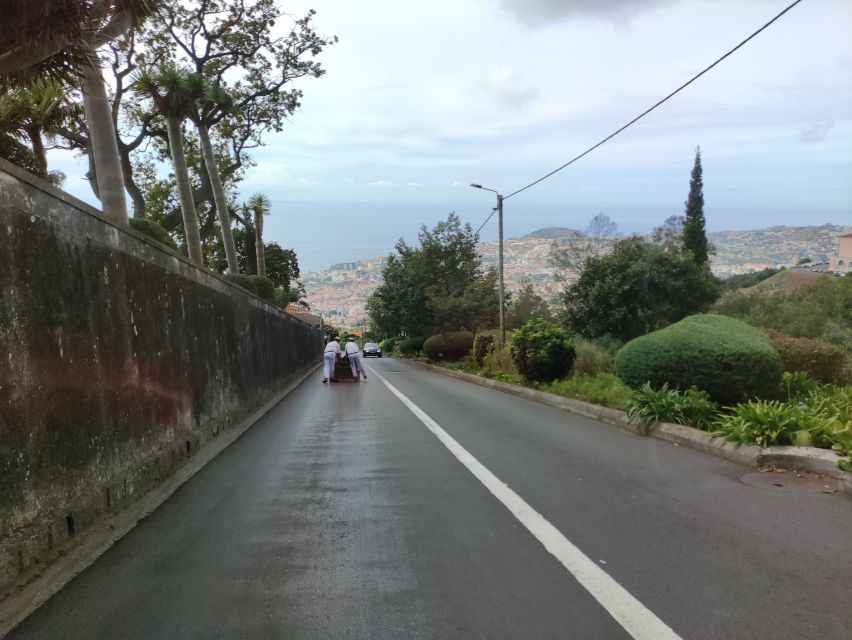 Funchal: Monte Toboggan and Old Town Tour by Tuk-Tuk - The 20-minute climb to Monte