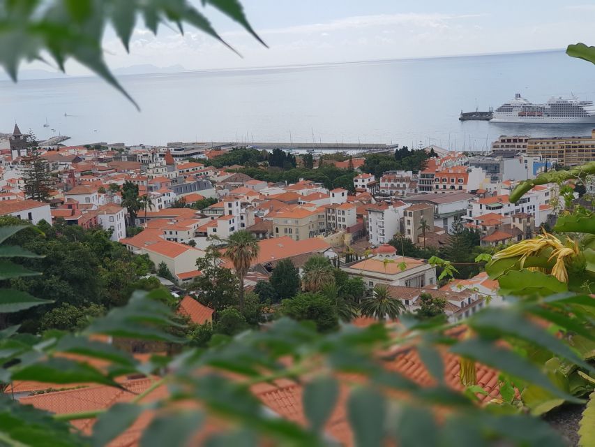 Funchal: Monte Toboggan and Old Town Tour by Tuk-Tuk - Is $47 a good value?