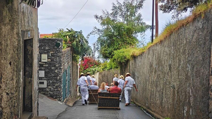 Funchal: Monte Toboggan and Old Town Tour by Tuk-Tuk - Who should book this Funchal tuk-tuk tour?