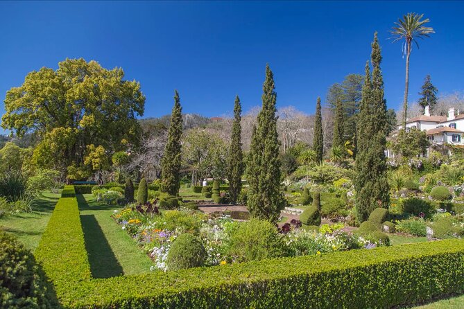 Funchal Old Town & Palheiro Gardens Private Tuk Tuk Tour - Who gets the best value from this tour