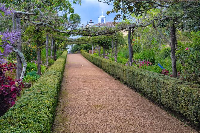Funchal Old Town & Palheiro Gardens Private Tuk Tuk Tour - Price, inclusions, and the small extras