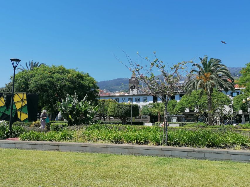 Funchal: Private Guided Tour of Historic Center by Tuk Tuk - Key points at a glance