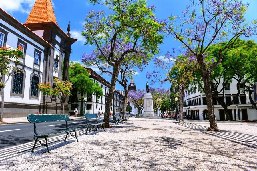 Funchal: Private Guided Tour of Historic Center by Tuk Tuk - The Mercado dos Lavradores stop