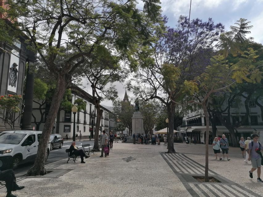 Funchal: Private Guided Tour of Historic Center by Tuk Tuk - What the driver-guide adds