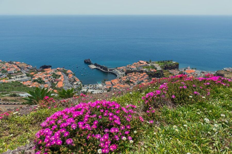 Funchal: Private Tuk-Tuk Tour to Cabo Girão Cliff - Skywalk - Pico da Torre and the first broad view