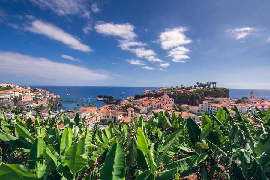 Funchal: Private Tuk-Tuk Tour to Cabo Girão Cliff - Skywalk - What the guide adds to the ride