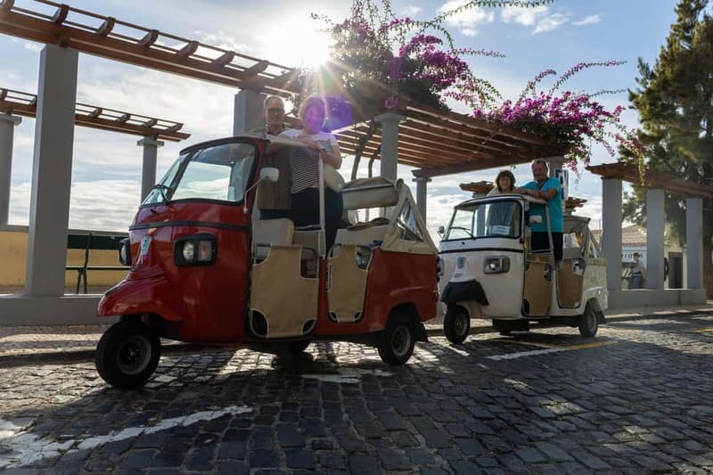 Funchal: Tuk Tuk Tour to the Most Breathtaking Viewpoints - A quick ride that gets above Funchal fast