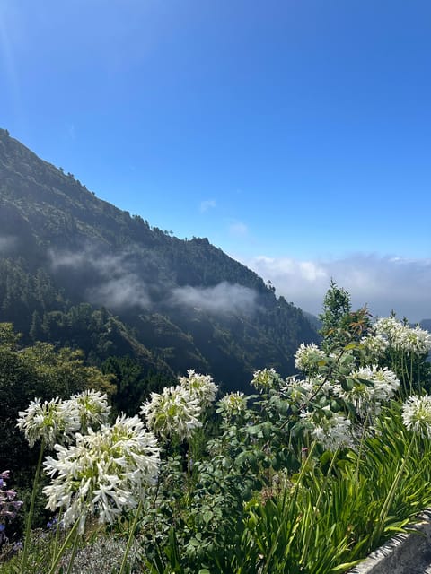 Funchal: Valley of the Nun’s tour by tuk tuk - Key points at a glance