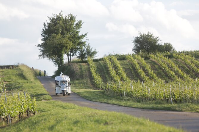 Geneva Panoramic & Tasting Vineyards Tour in an Tuk Tuk - Peissy and the vineyard roads