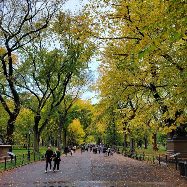 Guided Economy Pedicab Tour in Central Park - Why the three-person limit matters