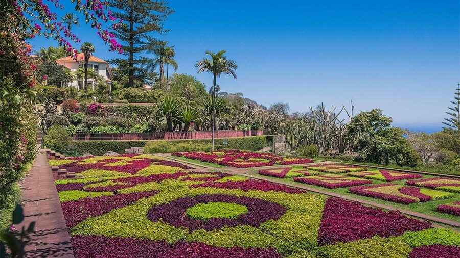Guided Tuk-Tuk Tour to Botanical Garden (From Funchal) - What the one-hour tuk-tuk route really offers