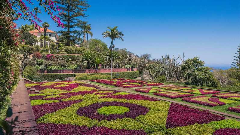 Guided Tuk-Tuk Tour to Botanical Garden (From Funchal) - Leaving Avenida do Mar and climbing Funchal