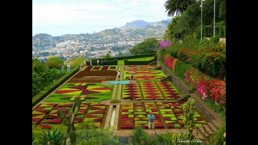 Guided Tuk-Tuk Tour to Botanical Garden (From Funchal) - Reaching Madeira Botanical Garden