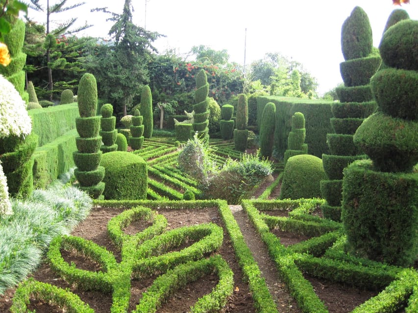 Guided Tuk-Tuk Tour to Botanical Garden (From Funchal) - Who should book this Funchal outing?