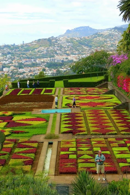 Guided Tuk-Tuk Tour to Botanical Garden (From Funchal) - Why the steep roads are part of the appeal