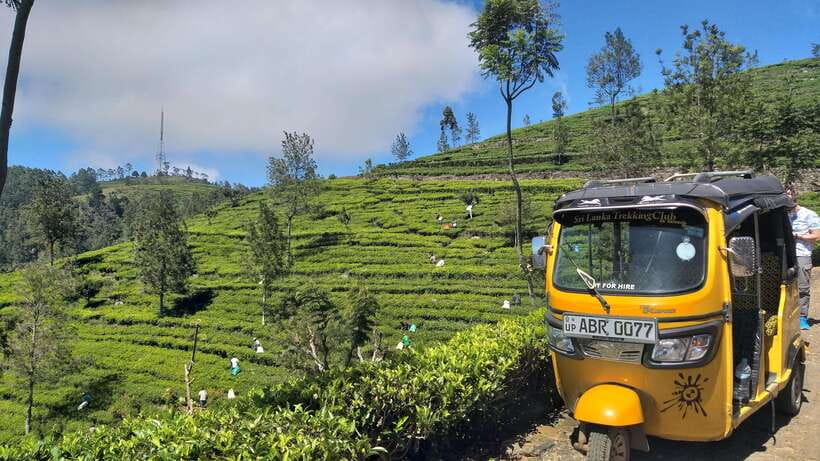 Haputale:Glorious Tuk Tuk Ride to Lipton'sSeat & Tea Factory - Inside Dambatenne Tea Factory