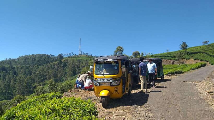 Haputale:Glorious Tuk Tuk Ride to Lipton'sSeat & Tea Factory - What the Private Format Adds