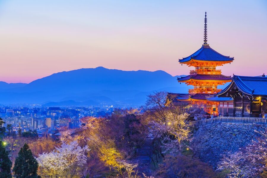 Higashiyama | Kyoto: Sakura Season Private Rickshaw Tour - The guides and the value of local explanation