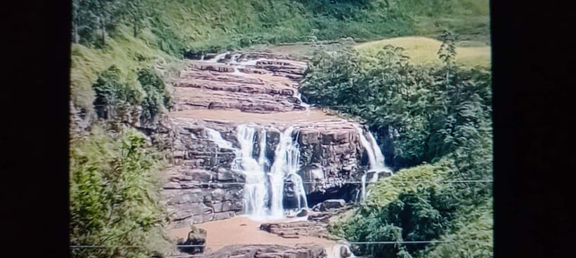 High-Grown Tea & Waterfall Wonders of Nuwara Eliya by tuktuk - Key points before you book