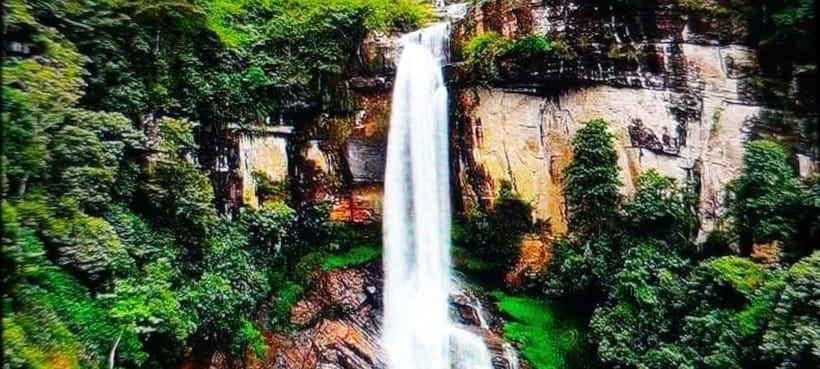 High-Grown Tea & Waterfall Wonders of Nuwara Eliya by tuktuk - Touring Damro Tea Factory