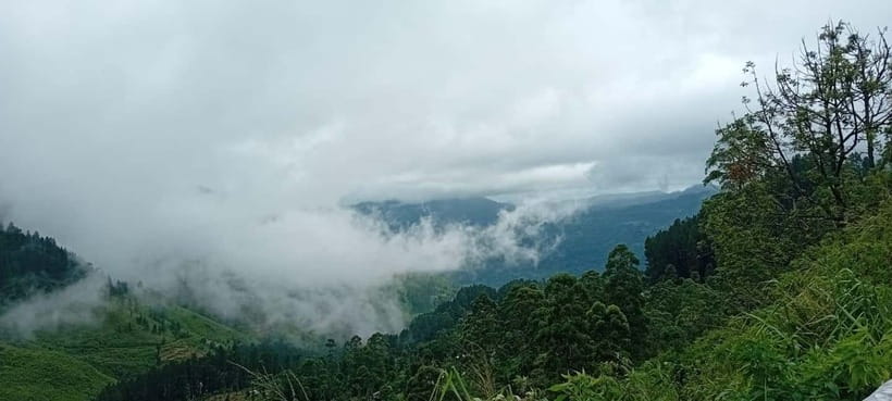 High-Grown Tea & Waterfall Wonders of Nuwara Eliya by tuktuk - Puna Ella Falls and the short scenic pause