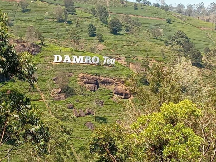 High-Grown Tea & Waterfall Wonders of Nuwara Eliya by tuktuk - The tuk-tuk ride and the views along the way