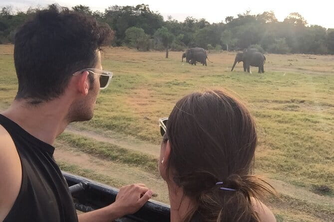 Instagrammable Kandy by Tuk-Tuk (Private & All-Inclusive) - What the Private Tuk-Tuk Adds
