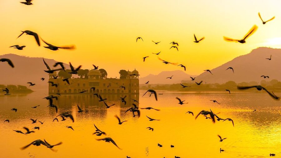Jaipur: Full-Day Private Sightseeing Tour by Tuk Tuk - Jal Mahal is best treated as a lakeside view