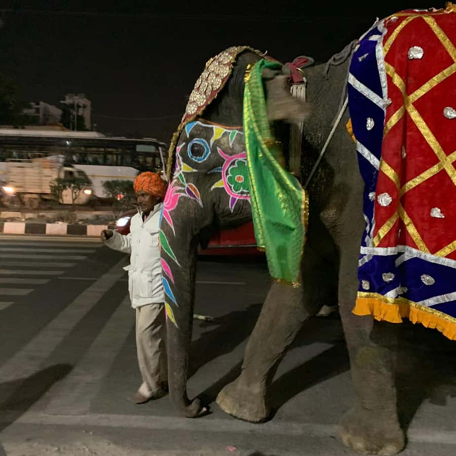 Jaipur: Night Tuk-Tuk Tour With Friendly Local Driver - Finishing with ice cream in Jaipur
