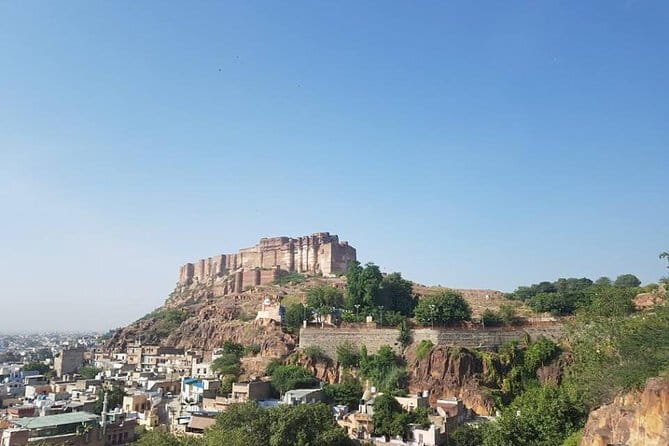 Jaipur Pink City Tour by Car or Tuk-Tuk - Lunch and the Pink City streets