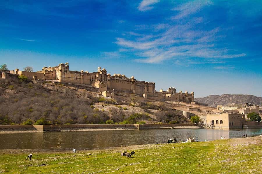 Jaipur: Private Full-Day Sightseeing Tour by Tuk-Tuk - Amber Fort requires time, stairs, and steady shoes