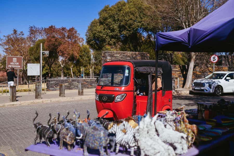Johannesburg: Soweto Tour by Tuk Tuk - Why a tuk tuk makes sense in a township this large