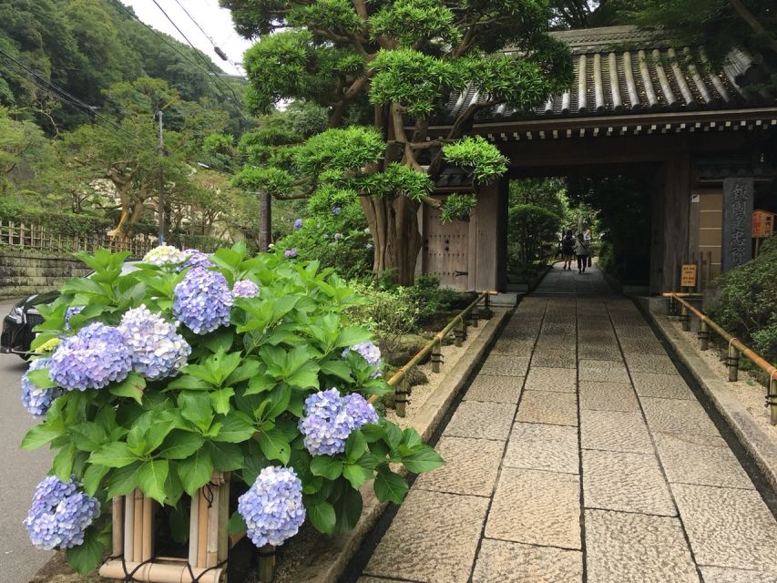 Kamakura: Private History and Heritage Tour by Rickshaw - The 70-minute choice and Hokokuji’s bamboo garden