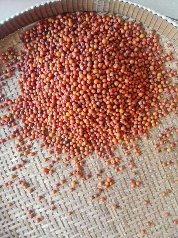 Kampot: Tuk Tuk Trip to Pepper Farm, Kep, Crab Market & More - Secret Lake and the stories behind it