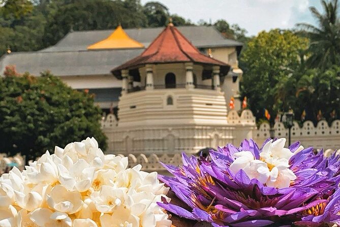 Kandy City Sightseeing and Ambuluwawa Tower by Tuk Tuk Tour - How the day is likely to feel