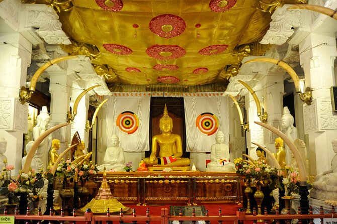 Kandy City Sightseeing Tour by Tuk Tuk - Why a tuk-tuk works well in Kandy