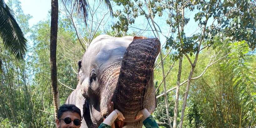 Kandy City Tours by Tuk Tuk - Lunch and Practical Local Advice