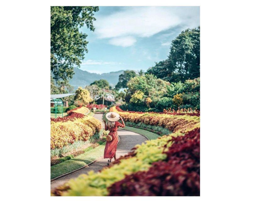 Kandy: City Tuk-Tuk Day Tours with a Local Guide - Tea, spices, and the working side of Sri Lanka
